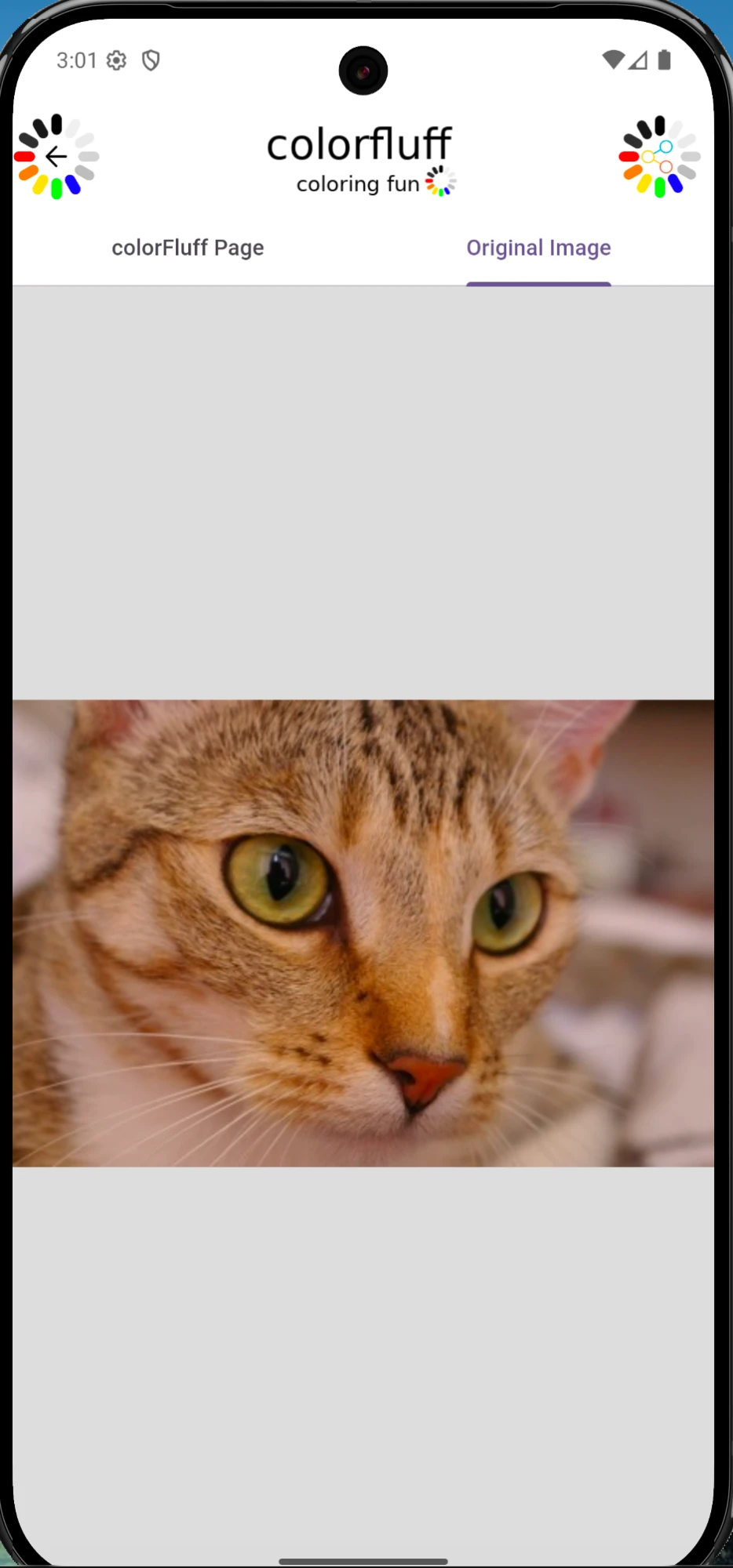 Original color photo of a tabby cat with green eyes